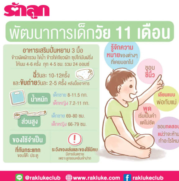 พัฒนาการทารก11เดือน