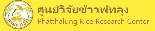 ศูนย์วิจัยข้าวพัทลุง