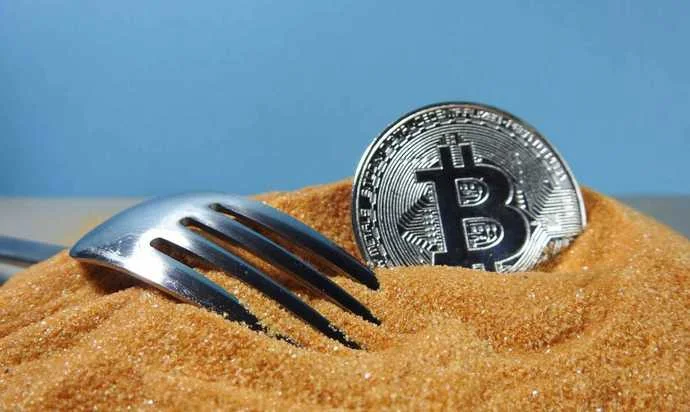 Blockchain Fork คืออะไร